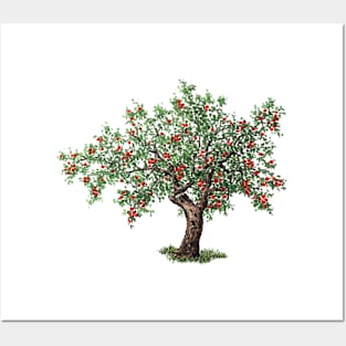 January birthday apple tree Posters and Art